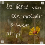 magneet_de_liefde_van_een_moederr