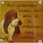 magneet_gedachten_dwalen