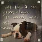magneet_gisteren_begon_te_wennen