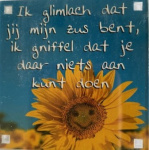 magneet_glimlach_zus