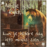 magneet_iedere_dag_iets_moois_zien
