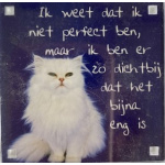 magneet_kat_niet_perfect