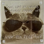 magneet_kat_roze_bril