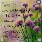 magneet_leuk_om_belangrijk