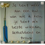 magneet_meer_dan_een_zus