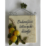 magneet_onderwijzers_letten_op_de_kleintjes