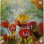 magneet_sepciaal