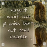 magneet_uniek