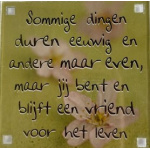 magneet_vriend_voor_het_leven