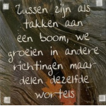 magneet_zussen_zijn_als_takken
