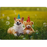 medley_61187