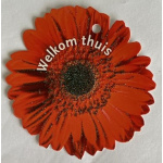 minikaartje_bloem_gerbra_welkom_thuis