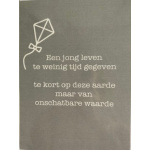 overlijden_kind_vlieger