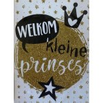 stardust_prinses