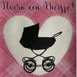 toche_glitter_hoera_een_meisje