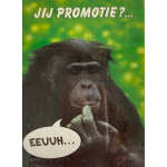 touche_promotie