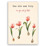 zintenz_k38