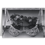 zwart_wit_foto_plantjes_in_bh