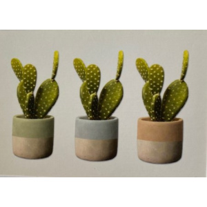 artige_postkaart_04