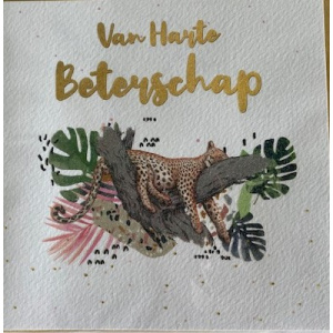 bliss_harte_beterschap_595480035