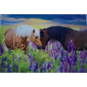 budget_kaart_2_paarden_lavendel