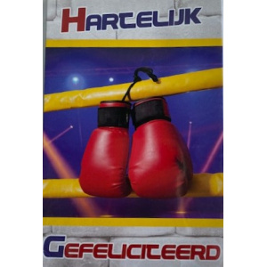 budget_kaart_boksen_rode_handschoenen