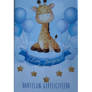 budget_kaart_geboorte_jongen_giraf_1859429951