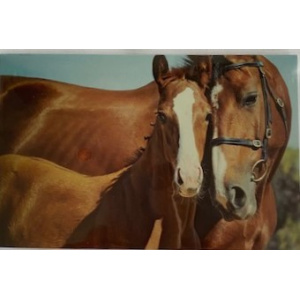 budget_kaart_paard_met_veulen_liefkozen