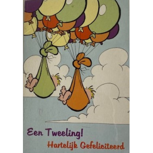 budget_kaart_tweeling_aan_ballonnen