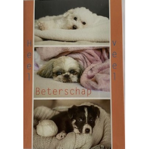 budget_kaart_veel_beterschap_honden