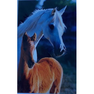budget_kaart_wit_paard_met_bruin_veulen