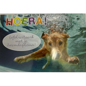 budget_kaart_zwemdiploma_hond_onder_water