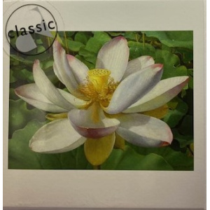 comello_kunst_kk476