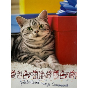 communnie_kat
