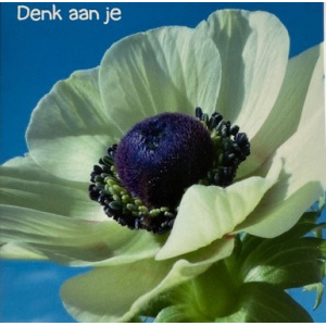 ellen_denk_aan_je