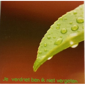 ellen_je_verdriet_ben_ik_niet_vergeten