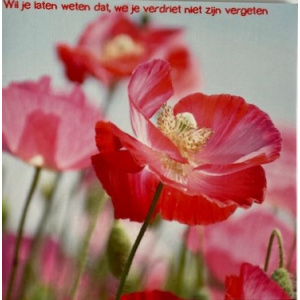 ellen_wil_je_laten_weten