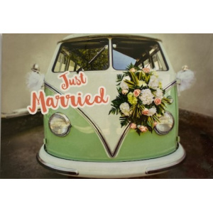 hartung_just_married_bully