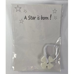 kaart_a_star_is_born_2