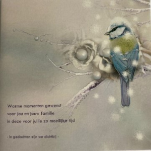 kerskaart_koolmees_warme_momenten