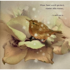 kerstkaart_bruine_vogel_op_blad_stille_tranen