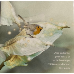 kerstkaart_vogel_op_blad_onze_gedachten