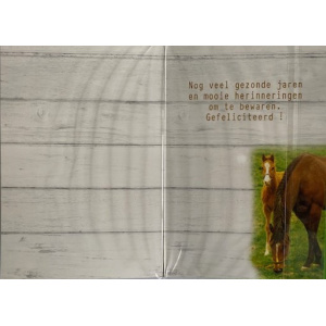 kinderkaart_paard_met_veulen_binnenkant