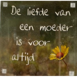 magneet_de_liefde_van_een_moederr