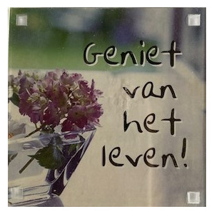 magneet_geniet_van_het_leven