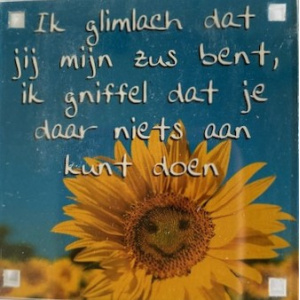 magneet_glimlach_zus