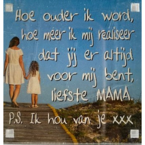 magneet_hoe_ouder_ik_word_mama