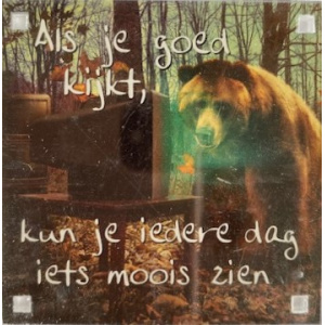 magneet_iedere_dag_iets_moois_zien
