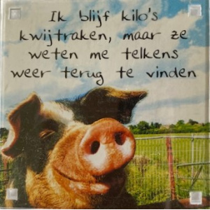 magneet_kilo_kwijtraken