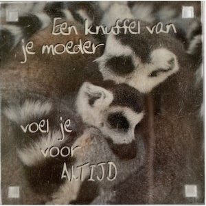 magneet_knuffel_van_je_moeder